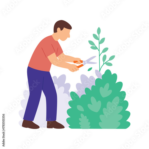 Trimming Plan, shaping bushes for balanced growth