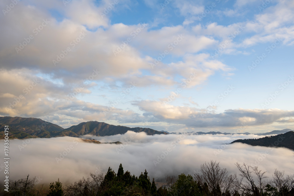 Obraz premium 兵庫県朝来市の竹田城と雲海