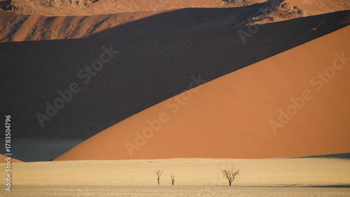 famous beautiful red dunes in Namibia 836