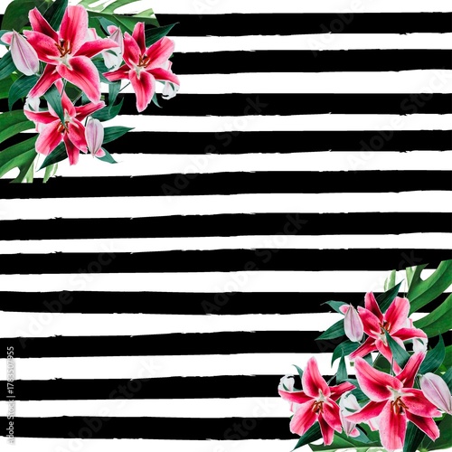 Pink lilies and green leaves on black and white striped background pink lily flower