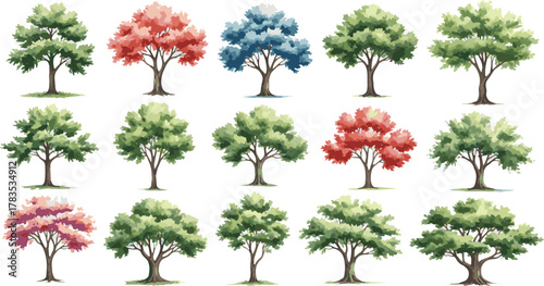 Isolated a Watercolor tree vector in side view painting botanical for section and elevation landscape plan and architecture layout drawing, elements for environment and garden vector art.