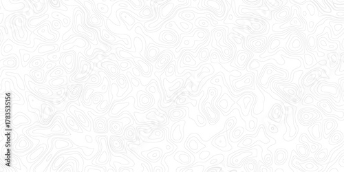 The stylized height map of the topographic in contours. Dark stroke on light background colors. Topographic line contour map background, geographic grid map,