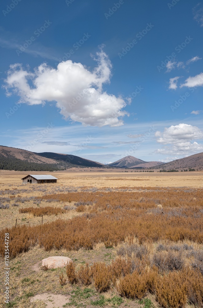 Fototapeta premium landscape in the mountains