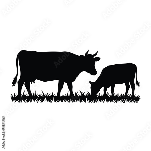 Silhouette of a cow and calf grazing in a grassy field