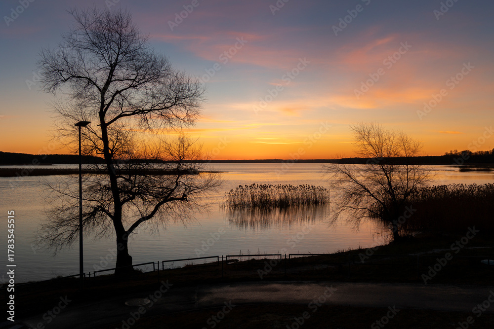 Obraz premium A baeutiful, colorful early spring sunrise over the lake with tree silhouettes. Seasonal landscape of Latvia, Europe.
