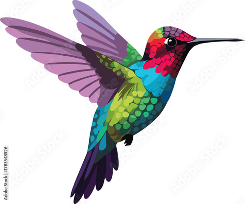 Colorful hummingbird in flight, vibrant tropical bird artwork, exotic wildlife vector, gradient feather design, cad drawing flat vector illustration
