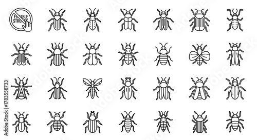 Collection of simple insect icons with editable strokes, perfect for infographics, articles, books, flyers, and banners. This vector cartoon illustration features a variety of insects, including