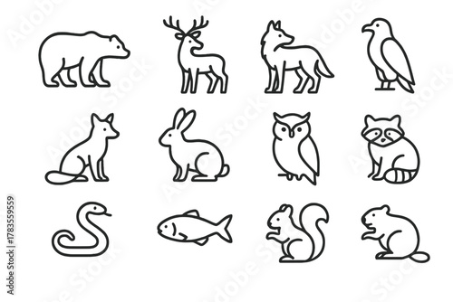 National Park Wildlife Icons. National park wildlife. Line outline icon set of national park wildlife: bear,