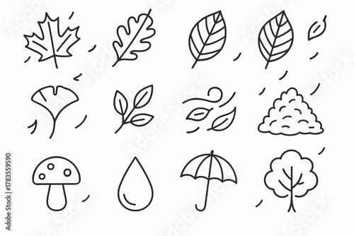 Autumn Leaves Icon Set. Falling leaves. Line outline icon set of falling leaves: maple leaf, oak leaf, birch