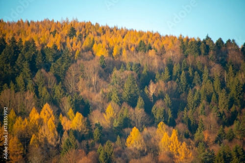 Fototapeta Naklejka Na Ścianę i Meble -  Autumn in Solina - Poland