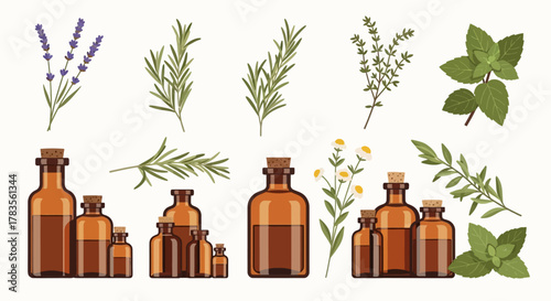 Aromatic Herbs and Essential Oil Bottles Collection.