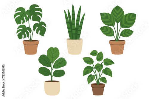 Diverse green potted houseplants in flat design style for interior decoration