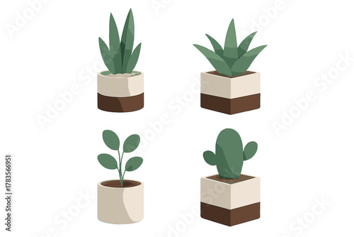 Stylized collection of four potted houseplants including succulents and a cactus