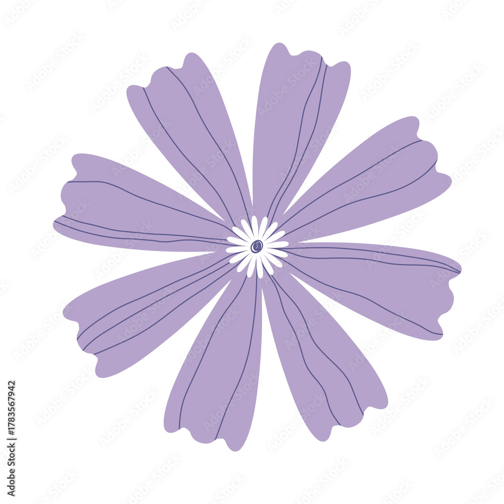 Fototapeta premium Hand drawn purple cosmos flower illustration for ornament and stickers