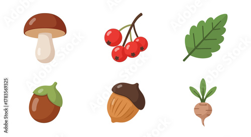 Autumnal Harvest - Mushroom, Berries, Leaf, Hazelnut, Acorn, and Turnip.