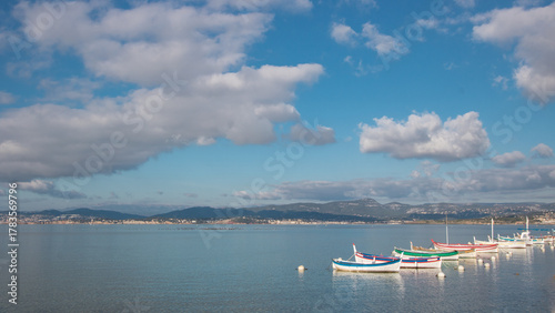 Le Brusc est un hameau de la commune de Six-Fours-les-Plages. Le port du Brusc, à la fois port de plaisance et port de pêche, se situe sur sa côte nord près de l'île des Embiez