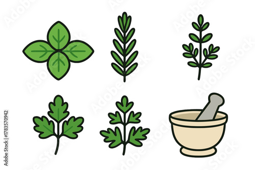 Fresh green culinary herbs and spices collection with mortar and pestle