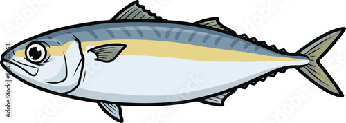 Indian matured mackerel fish vector cartoon illustration