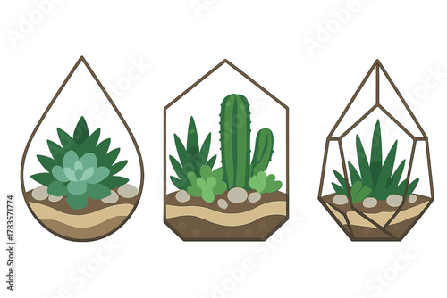 Three geometric glass terrariums containing various succulent plants and cacti
