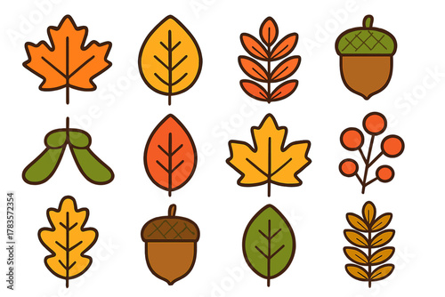 Stylized icons of autumn leaves acorns and berries for seasonal design