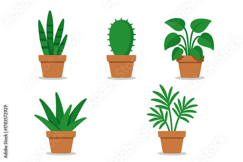 Set of five popular green houseplants in terracotta pots on a white background