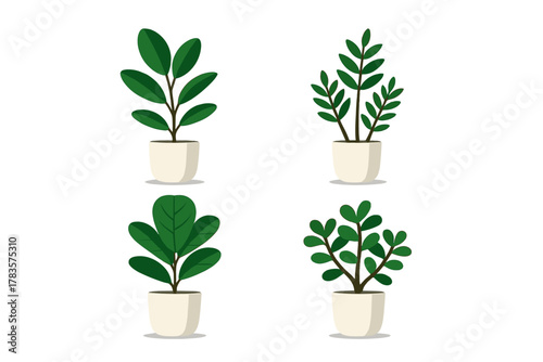 Set of four different potted indoor houseplants for modern home decoration