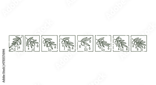 Set of eight minimalist line art icons depicting olive branches with olives and dripping oil, presented in a clean, ordered row against a white background, perfect for branding and design elements