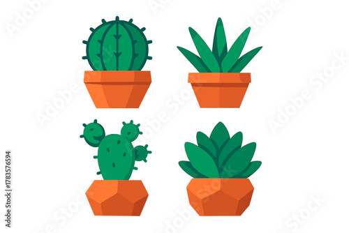 Four green cacti and succulents in bright orange flowerpots