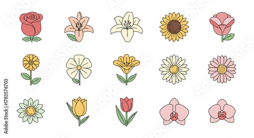 A vibrant collection of stylized flower icons, perfect for UI elements, placards, book covers, and app designs. This editable stroke vector cartoon illustration features a variety of popular blooms
