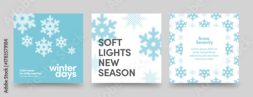 Winter Snowflake Vector Layouts — Blue and White Minimalist Social Media Poster Templates