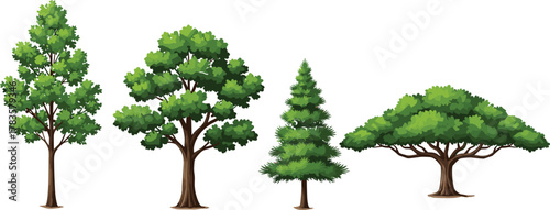 PrintTree illustration set, realistic tree graphics, forestdeciduous and coniferous trees, nature clipart, green foliage, tree morphology, educational tree icons, stylized tree pack, u