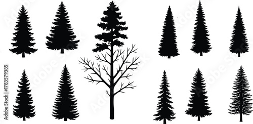PrintTree silhouettes collection, coniferous forest shapes, pine fir spruce outlines, bare winter tree, nature elements, black white contrast, isolated graphics