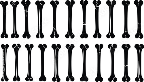 Black and White Bones Set for Medical or Halloween Theme Design