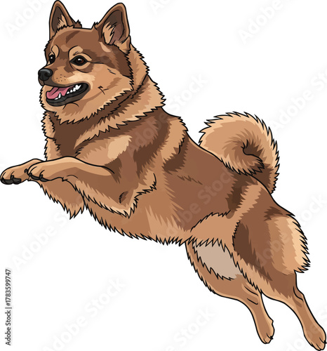 German Spitz dog jumping playful cute vector illustration