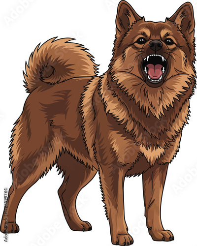 German Spitz dog barking alert aggressive vector illustration
