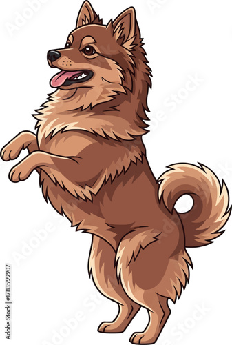 German Spitz dog standing on hind legs playful vector illustration