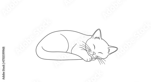 A detailed line drawing of a sleeping cat curled up in a relaxed position.