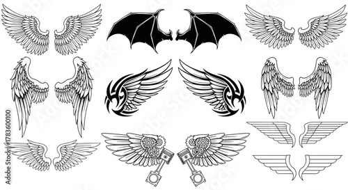 Collection of diverse wings illustrations including angel devil and mechanical designs showcased in black and white