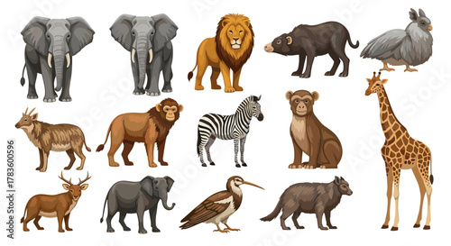 Illustration featuring a variety of animals including elephants lions and a giraffe standing tall