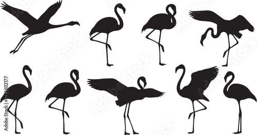 Collection of black silhouette flamingos in various poses against a white background