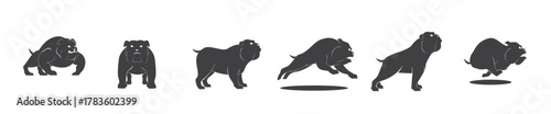 bulldog illustration design vector illustration