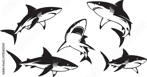 Collection of five black and white stylized illustrations of sharks swimming in different dynamic poses