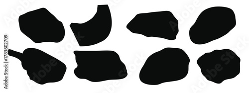 Set of chicken vector illustration