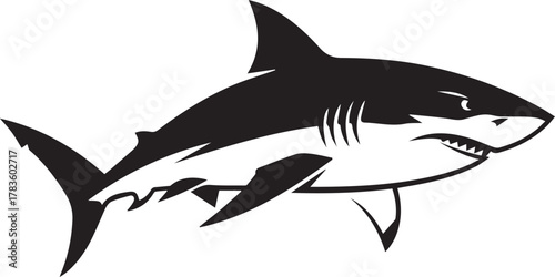 Hand drawn illustration of a black and white great white shark swimming in the ocean