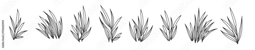 Fototapeta premium Cattails Vector Outline