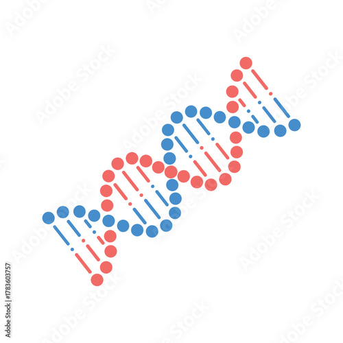 Stylized red and blue D N A double helix strand with dots and dashes on white background/