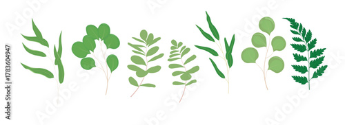 collection of greenery leaves branch twig flora plants