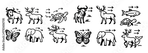 Animal Migration Doodle Grid