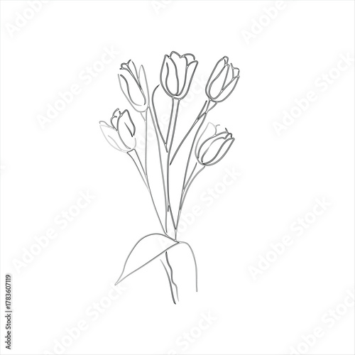 Minimalist Line Art Tulips Bouquet. 
Simple Floral Outline of Tulip Blossom Vector Art