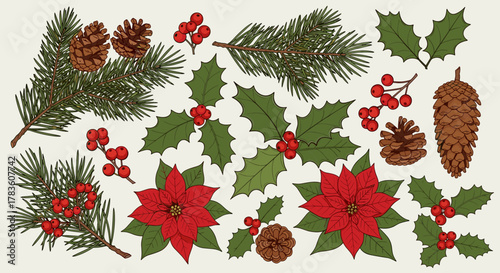 Hand-drawn vector illustration of winter greenery, featuring pine branches, holly leaves with berries, vibrant red poinsettias, and natural pine cones, creating a festive botanical arrangement